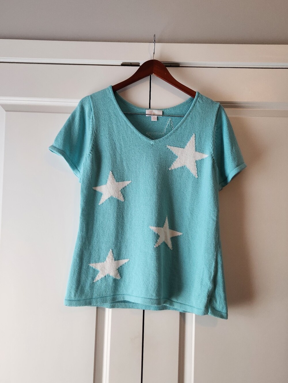 Short Sleeve Novelty Sweater